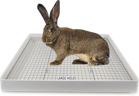 rabbit litter box 22x18